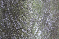 Oakdale fibreglass roof work